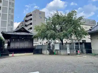 荻窪白山神社(東京都)