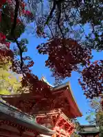 武蔵一宮氷川神社(埼玉県)