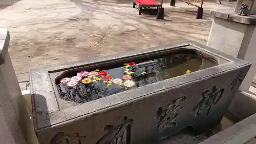 越谷香取神社の手水舎