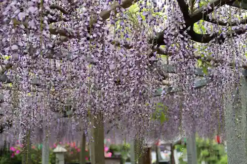 惣社神社(滋賀県)
