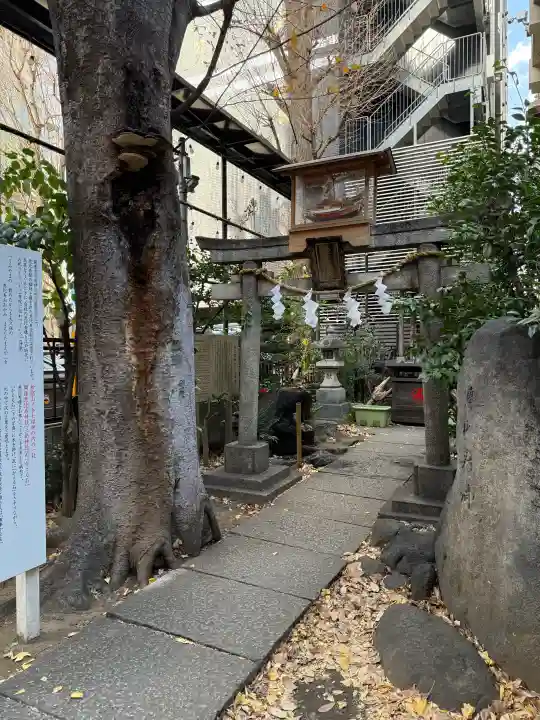 稲荷鬼王神社の{uncategorized: "未分類", other: "その他", undefined: "問題あり", building: "その他建物", grave: "お墓", sacred_gate: "鳥居", guardian: "狛犬", statue: "像", buddha: "仏像", history: "歴史", nature: "自然", garden: "庭園", animal: "動物", pagoda: "塔", temizu: "手水舎", mountain_gate: "山門・神門", sanctuary: "本殿・本堂", subordinate: "末社・摂社", art: "芸術", scenery: "景色", jizo: "地蔵", ema: "絵馬", goshuin: "御朱印", omikuji: "おみくじ", items: "授与品その他", amulet: "お守り", goshuincho: "御朱印帳", eats: "食事", festival: "お祭り", votive_dance: "神楽", shichigosan: "七五三参", wedding: "結婚式", experience: "体験その他", initially: "初詣", around: "周辺", anti_infection: "感染症対策"}