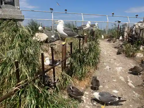 蕪嶋神社(青森県)