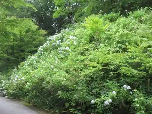 青龍山 吉祥寺(群馬県)