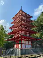 新倉富士浅間神社(山梨県)