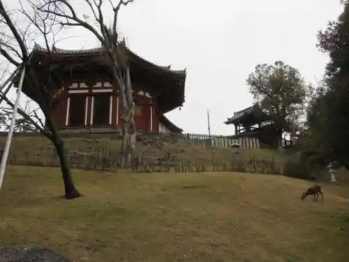 興福寺の本殿・本堂