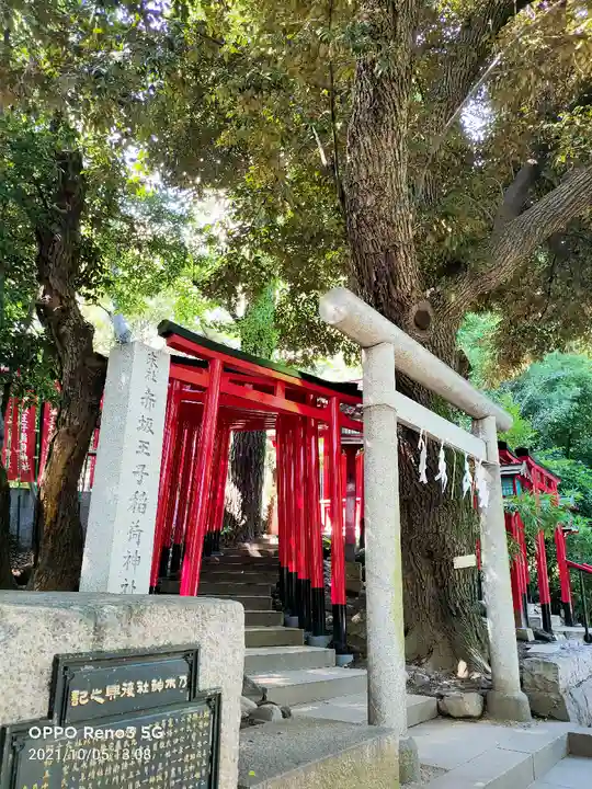 乃木神社の鳥居