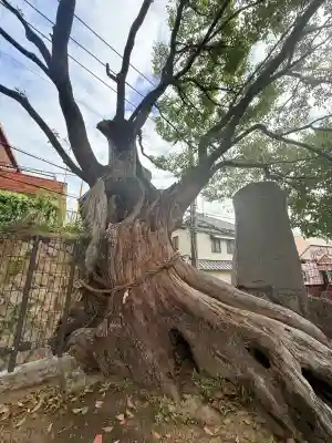 五宮神社(兵庫県)