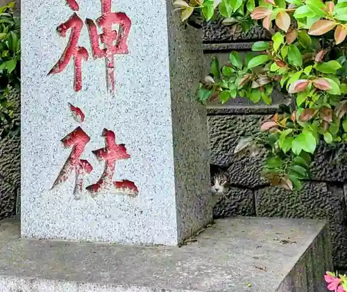 鳩ヶ谷氷川神社(埼玉県)