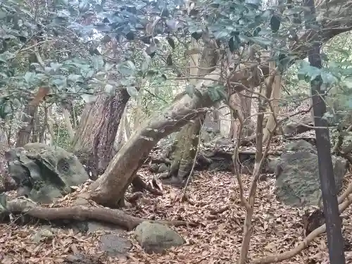 出雲大神宮(京都府)
