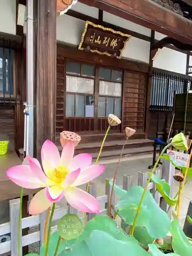 谷中西光寺のその他建物