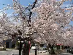 小幡八幡宮の自然