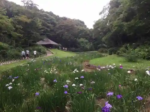 明治神宮の自然