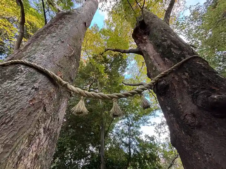 川越氷川神社の{uncategorized: "未分類", other: "その他", undefined: "問題あり", building: "その他建物", grave: "お墓", sacred_gate: "鳥居", guardian: "狛犬", statue: "像", buddha: "仏像", history: "歴史", nature: "自然", garden: "庭園", animal: "動物", pagoda: "塔", temizu: "手水舎", mountain_gate: "山門・神門", sanctuary: "本殿・本堂", subordinate: "末社・摂社", art: "芸術", scenery: "景色", jizo: "地蔵", ema: "絵馬", goshuin: "御朱印", omikuji: "おみくじ", items: "授与品その他", amulet: "お守り", goshuincho: "御朱印帳", eats: "食事", festival: "お祭り", votive_dance: "神楽", shichigosan: "七五三参", wedding: "結婚式", experience: "体験その他", initially: "初詣", around: "周辺", anti_infection: "感染症対策"}