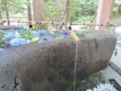 千歳神社の手水舎