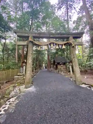 椿大神社の鳥居