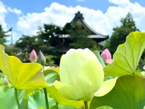 信濃國分寺(長野県)