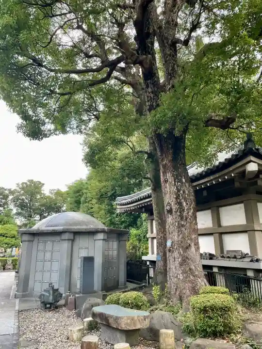 常楽寺(神奈川県)