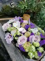 本郷氷川神社(東京都)