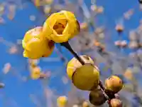 横浜 西方寺(神奈川県)