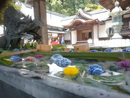 柳谷観音　楊谷寺の手水舎