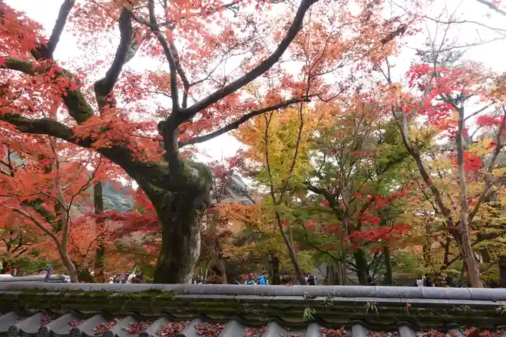 禅林寺(永観堂)(京都府)