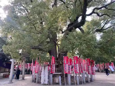 住吉大社(大阪府)