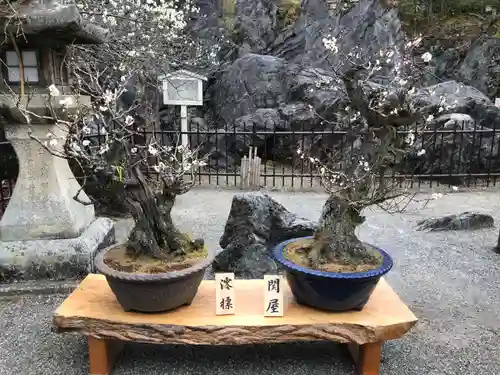 石山寺の芸術