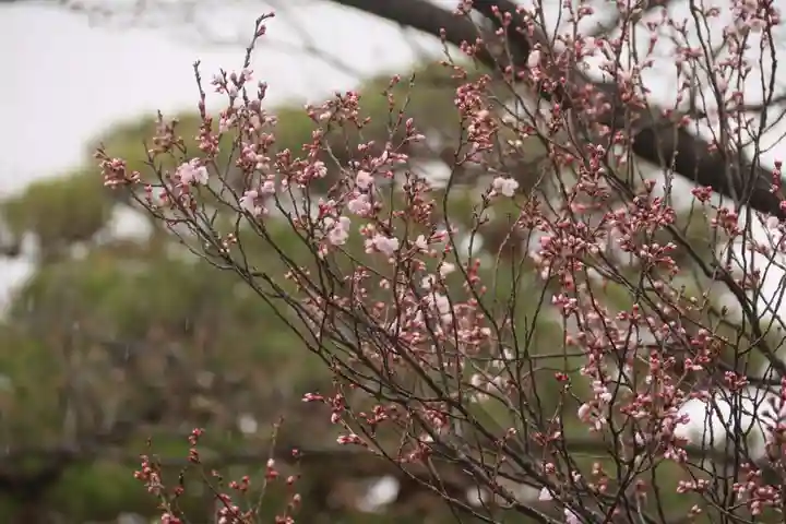 開成山大神宮の庭園