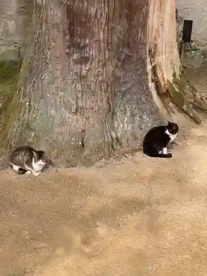 一乗寺(兵庫県)