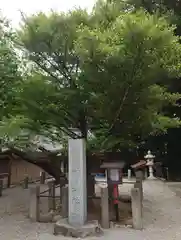 塚崎神明社(千葉県)