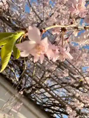 西住院(京都府)