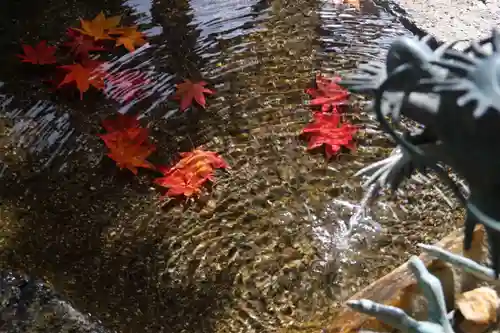 鹿島大神宮の手水