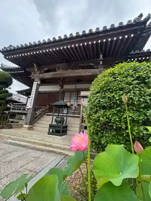 素盞嗚神社(兵庫県)