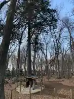若狭山ノ神神社(埼玉県)