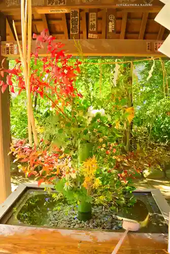 赤坂氷川神社(東京都)
