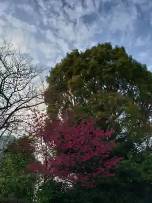 芝東照宮の自然