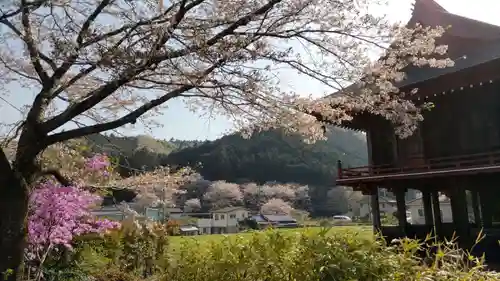 長光寺の庭園