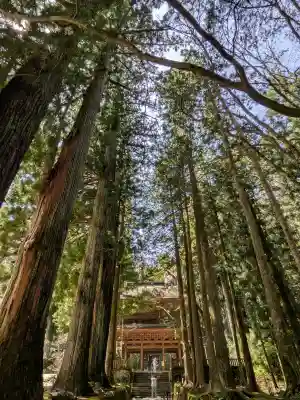 宝積山光前寺(長野県)