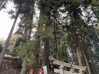 大宮温泉神社(栃木県)