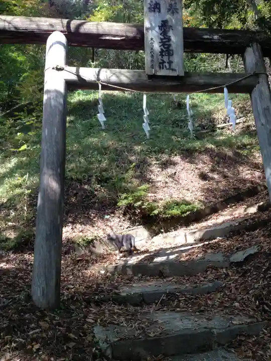 刈田嶺神社の鳥居