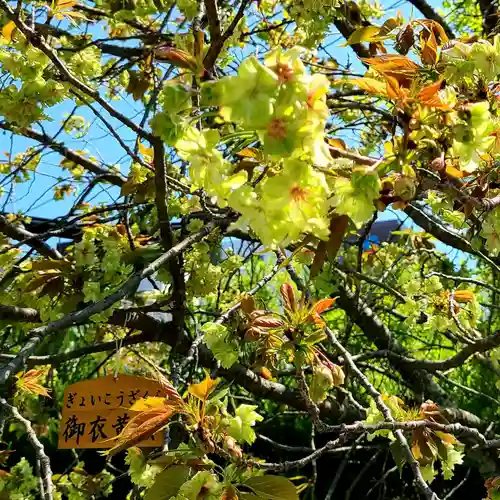 二川伏見稲荷の自然