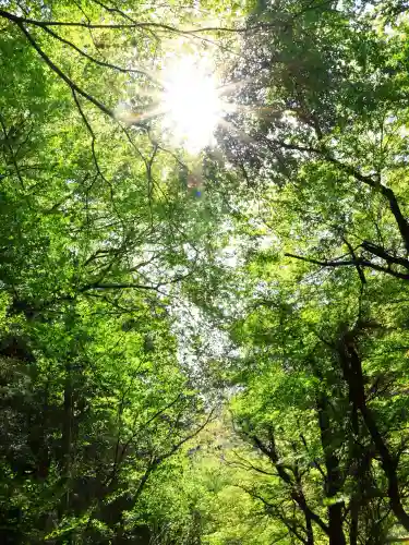 金櫻神社の{uncategorized: "未分類", other: "その他", undefined: "問題あり", building: "その他建物", grave: "お墓", sacred_gate: "鳥居", guardian: "狛犬", statue: "像", buddha: "仏像", history: "歴史", nature: "自然", garden: "庭園", animal: "動物", pagoda: "塔", temizu: "手水舎", mountain_gate: "山門・神門", sanctuary: "本殿・本堂", subordinate: "末社・摂社", art: "芸術", scenery: "景色", jizo: "地蔵", ema: "絵馬", goshuin: "御朱印", omikuji: "おみくじ", items: "授与品その他", amulet: "お守り", goshuincho: "御朱印帳", eats: "食事", festival: "お祭り", votive_dance: "神楽", shichigosan: "七五三参", wedding: "結婚式", experience: "体験その他", initially: "初詣", around: "周辺", anti_infection: "感染症対策"}