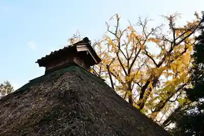 禅蔵寺(愛媛県)