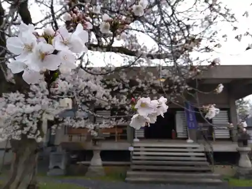 妙経寺(福井県)