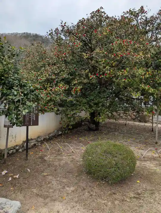 圀勝寺(岡山県)