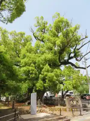 諫早神社（九州総守護  四面宮）(長崎県)