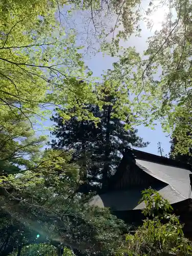 山口大神宮の建物その他