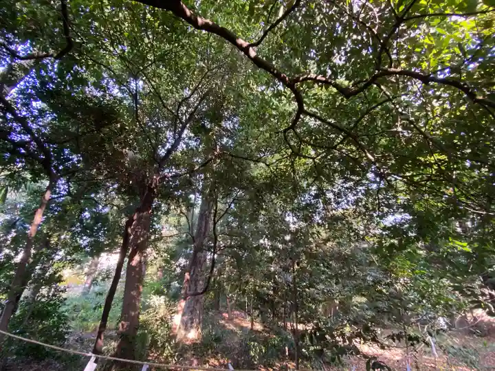 布多天神社(東京都)