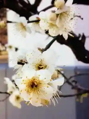 成子天神社(東京都)