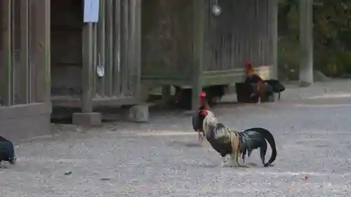 石上神宮(奈良県)